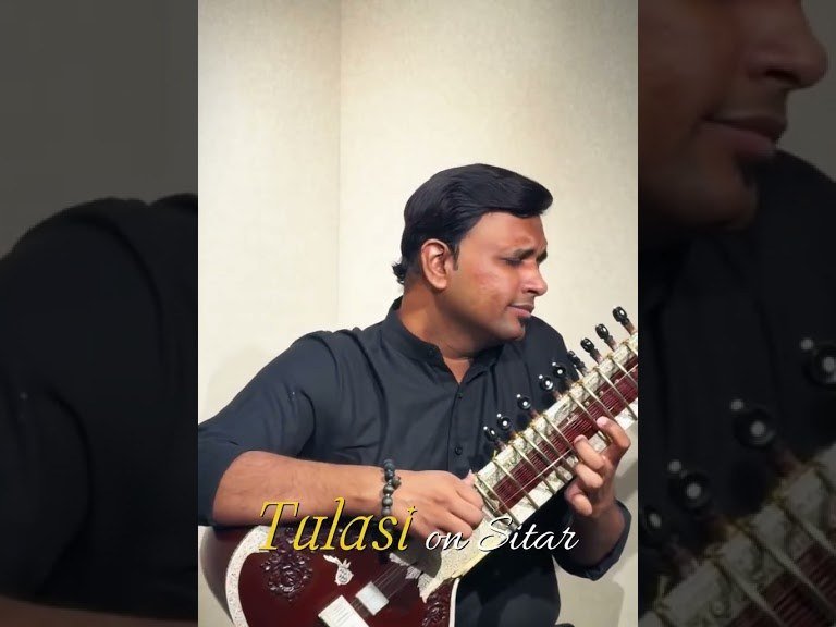 Close on the frets and the mizrab hand